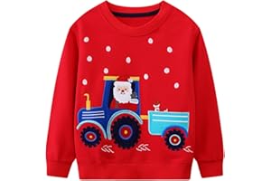 Baogaier Felpa Bambino Dinosauro Girocollo Manica Lunga in Cotone Ragazzo Pullover Top Moda Maglietta Sportivo Sweatshirt Ragazzi Felpa Senza Cappuccio Bambini Maglione 2-7 Anni