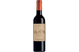 Donnafugata Ben Ryé 2022, Passito di Pantelleria - 375 ml