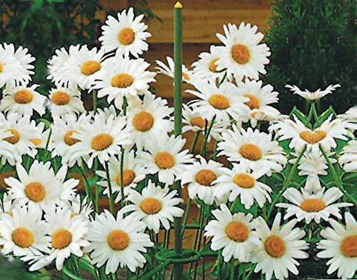 Preisvergleich Produktbild Green Tower Staudenhalter 3-tlg. 30cm