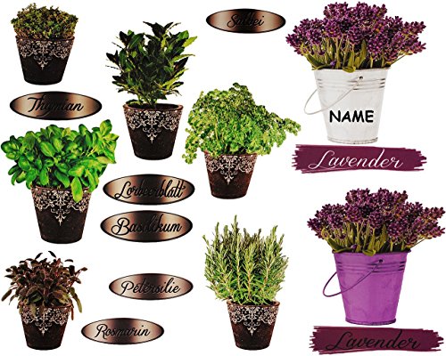 16 tlg. Set _ XL Wandtattoo / Sticker – “ Kräuter / Küchenkräuter & Lavendel “ – Wandsticker – Aufkleber für Kinderzimmer – selbstklebend + wiederverwendbar – Kinder & Erwachsene – Kinder – Wandaufkleber – Postersticker – Deko – Küche mediterane Dekoration – Poster – Tattoo - 3