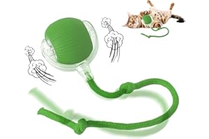 AMNF Pallina interattiva per gatti, palla intelligente per cani, con rotazione automatica a 360°, giocattolo per gatti, per interni, per gatti e gatti che rotolano velocemente sul tappeto (verde)