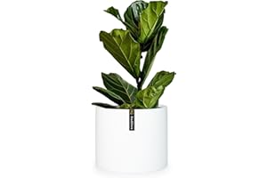 Fox & Fern Pot de Fleur Interieur et Extérieur, Jardinieres Exterieur, Pot Plante Résistant UV et Gel avec Bouchon de Drainage, Fiberstone, Jardiniere, Pot de Fleur Exterieur Grande Taille, Pot Unique