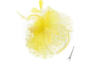 QDC Fascinators Hat for Women Girl Tea Party Headband Kentucky Derby Hats Cocktail Flower Mesh Feathers Headwear Hair Clip for Wedding