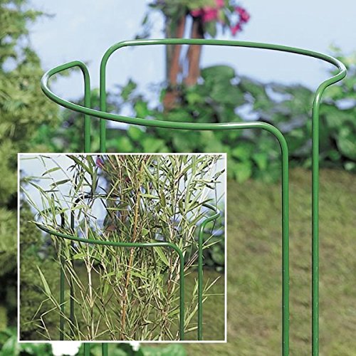 Strauchstütze halbrund Größe wählbar, grün 10 Stück [100 cm]