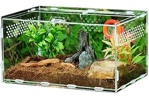 Scatola per allevamento di rettili, Scatola trasparente per allevamento di rettili, Terrarium Cage Tank per Tarantula Scorpion Sling Isopods Invertebrati Insetto Mantis Ziurmut