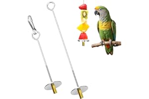 VLYX Lot de 2 brochettes pour Oiseaux, brochettes de Fruits pour Oiseaux, brochettes de Nourriture pour perroquets, brochettes en Acier Inoxydable pour perruches, perruches, calopsittes