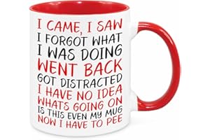 CHERISH CHARLIE DESIGNS I Came I Saw I Forgot Mug - Birthday Christmas Funny Gift Present Novelty Gift for Mum Dad Friend Sister Brother Grandparents Gift for Him Her Secret Santa Funny Quotes Coffee Mug (Red)