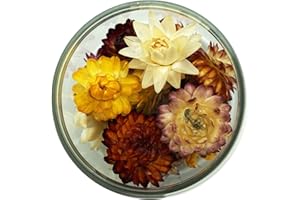 ROSIE ROSE | Essbare Strohblumen Mix - 15stk | getrocknet, ohne Zusatzstoffe & 100% natürlich | für Kuchendekoration, Tortendekoration zum Backen & Kochen