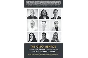 The CISO Mentor: Pragmatic advice for emerging risk management leaders