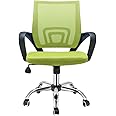 Panana Large Seat Adjustable Ergonomic Desk Chair Metal feet Swivel Office Chair Mid-Back with Lumbar Support Executive Task Chair (Green)