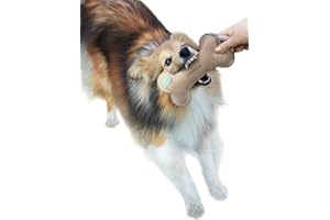 Japan Premium Pet Super Leather Bone Toy for Dogs