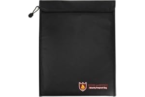 TsunNee Bolsa de documentos, resistente al agua, bolsa de seguridad ignífuga, bolsa de seguridad contra incendios, 15 x 11 pulgadas, color negro