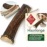 ChronoBalance® Corna di Cervo per Cani M | Giochi da masticare bocconcino 100% naturale + di lunga durata: dimezzato osso da 