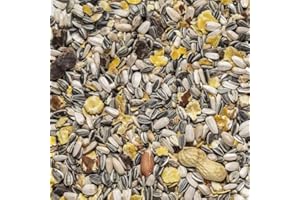 Il Contadino - Antichi Becchimi | MISCUGLIO per PAPPAGALLI Grandi | Formula Ricca di Semi Selezionati Adatta per Tutto L'Anno, No OGM, 100% Vegetale, Assenza di scarti. qualità Superiore (5 kg)