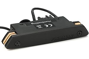 Pickup acustico magnetico da buca in formato humbucker Fishman Rare Earth