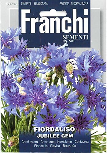 Franchi Cornflower Fiordaliso Jubillee Gem (3)