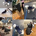 Kismaple-Cane-Gatto-giacca-felpa-piumino-invernale-anumale-domestico-cappotto-con-cappuccio-vestiti-caldi