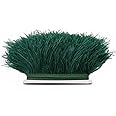 FQTANJU 2 Yards Soft & Natural Ostrich Feathers Fringe Trims Ribbon Used for Dress, Sewing, Craft clothing, lighting decoration, Clothing DIY, etc. (Dark Green)