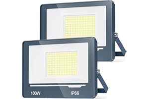 TOPAUBUB Faretto Fari Faro a LED da Esterno 100W 10000LM - IP66 Impermeabile 6500K Luce Fredda Faretto LED Esterno per Giardino, Patio, Terrazza, Garage(2 Pezzi)