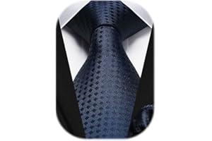 HISDERN Cravate Homme à Carreaux Élégante Formelle Classique Couleur Unie Cravates Hommes et Mouchoir pour Mariage d'affaires Fete