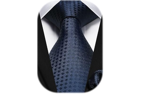 HISDERN Cravate Homme à Carreaux Élégante Formelle Classique Couleur Unie Cravates Hommes et Mouchoir pour Mariage d'affaires Fete