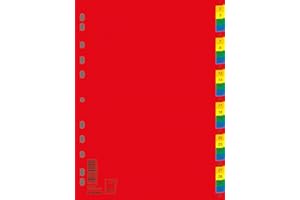 DONAU 7736095PL-99 1-31 - Separadores de plástico (DIN A4, 230 x 297 mm, 31 piezas, 1 separadores, 11 orificios, para la organización de carpetas en la oficina)