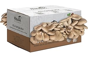 Hawlik Pilzbrut - Grande cultivo setas de ostra -kit setas autocultivo para crecer a ti mismo - fácil para cosechar setas de ostra fresca - kit cultivo setas de ostra