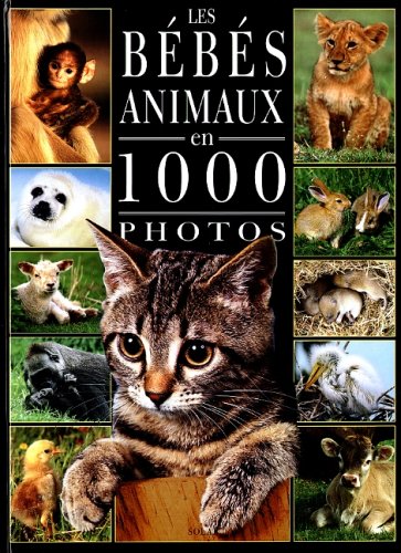 les  Bebes animaux en 1000 photos