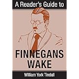 READERS GT FINNEGANS WAKE (Irish Studies)