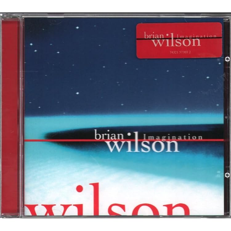 洋楽 Brian Wilson CD Brian Wilson : Wilson, Brian: Amazon.fr: CD et Vinyles}