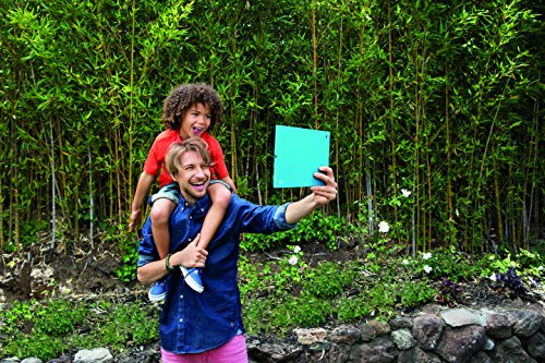 Logitech Blok Shell Schutzhülle (für Apple iPad Air 2) blau - 8