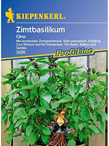Kiepenkerl Zimtbasilikum Cino