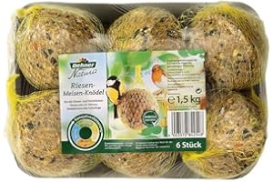 Dehner Natura Premium ogromne kule z siatką, całoroczna karma dla dzikich ptaków, bogata w białko/energię, wysokiej jakości karma dla dzikich ptaków, 6 sztuk po 250 g (1,5 kg)
