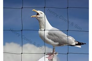HENRY COWLS Bird Netting For the Garden 5m x 5m 75mm Anti Seagull Knotted 3" Mesh Heavy Duty Black Net