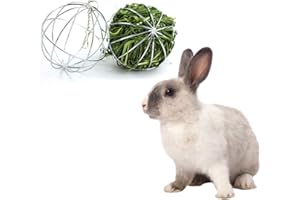 Winterworm Juego de 2 Bolas de heno Juego de dispensador de heno Alimentador de Bolas Colgantes Juguete para Conejito hámster Conejillo de Indias (8 cm)