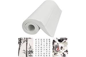 Hugwish 120 Stück Xuan-Reispapier für chinesische Kalligrafie, chinesische Malerei, Malerei, Zeichnung, Reisblatt, Reispapier, 35 x 25 cm (Xuan-Papier, halbroh und mittelreif)