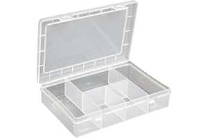 hünersdorff Scatola di assortimento in PP Eco Mini con 5 scomparti, stabile scatola per viti e altri piccoli pezzi, divisorio fisso, trasparente