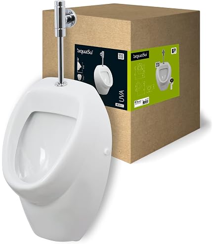 Urinoir Roca A353145000 - Blanc - Porcelaine - Alimentation Par Le Haut - Pour Installation Murale - Livré Sans Robinet Et Siphon