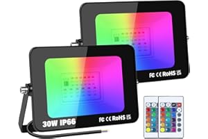 RIGIDON 2 pezzi 30W Faretto LED RGB con Telecomando, Proiettore 16 Colori 4 Modalità Funzione di Memoria Proiettore da Interno Esterno, Impermeabile IP66 Faretti LED per Halloween Natale Giardino