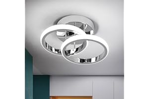 EIDISUNY LED Ceiling Light Modern 24cm Silver Round Simple Ceiling Light Fixture LED for Corridor Kitchen Stairs Hallway Study Room Bedroom Living Room - Chrome 22W Cool White Light 6000K