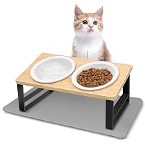Set 10 Ciotole Per Gatti In Acciaio Inox - Diametro 15 Cm, Basse, Lavabili In Lavastoviglie