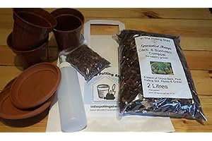 POTTING SHED Cacti Re-Potting kit