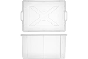 Giganplast 6441 Cassetta Box con Coperchio, Polipropilene, 55 x 40 x 29 cm