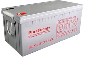 Plusenergy wccsolar Batería Solar 12v Ciclo Profundo AGM 150Ah 250Ah Gel 150Ah 250Ah Solar Fotovoltaica con terminales (250A AGM)