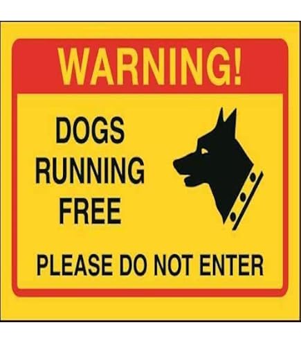Warnschild „Beware Of The Dog“ – 200x300 Mm, Kunststoff, Für Außenbereich