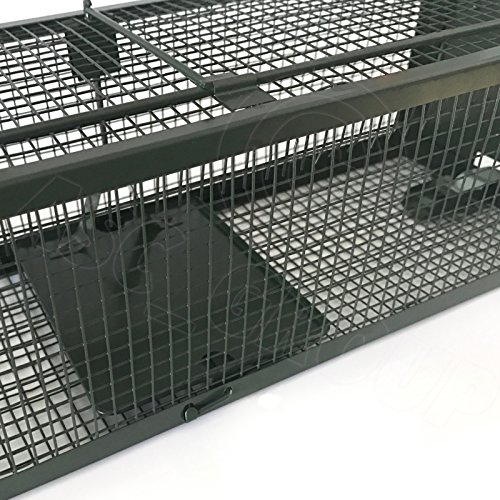 ASC – Rattenfalle Metall Ratte Traumfänger – menschlichen ohne Killing – wiederverwendbar anti-parasites Falle - 6