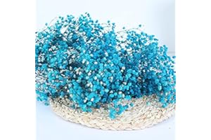 YIWOYI Ramo de flores secas naturales Gypsophila Paniculata preservadas para decoración del hogar y fiestas de boda (azul marino, 15-30 cm, 20 g)