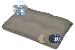 Beautissu Lounge Coussin de Dossier 50x40x12 cm – Résistant à l’Eau & Facile d'entretien Coussin Extérieur Jardin Anti-Salissures & Lavable pour Meubles de Jardin Rattan Lounge Balcon – Gris Clair