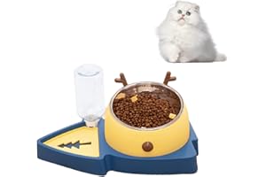 KAKBRT Ciotola per Gatti,Distributori Automatici di Cibo & Acqua per Gatti e Cani,Ciotole per Animali Domestici Acciaio Inossidabile,per Gatti Cuccioli Cani di Piccola Taglia (Blu)