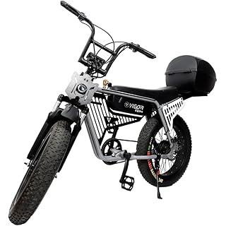 VIGOREBIKE Cargo Unisex Electric Bicycle Fat Tyre Cycle 20 x 400 Inches Lithium Ion E-Moto Bike 100 KM Range 48V Battery (Mat